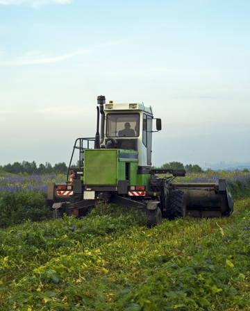 Agriculture